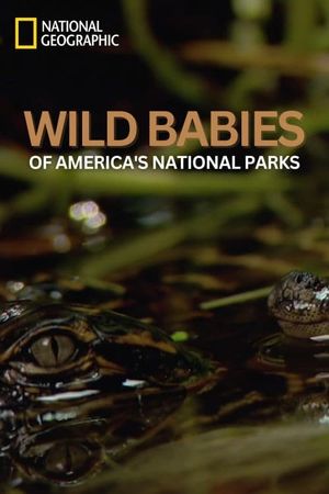 Wild Babies of America's National Parks's poster