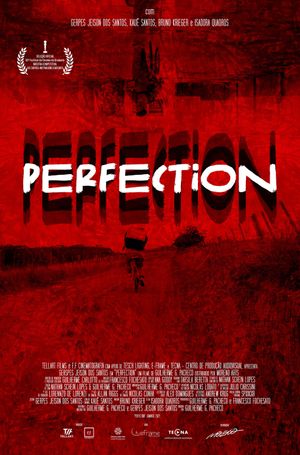 Perfection's poster