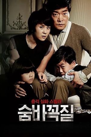 Hide and Seek's poster