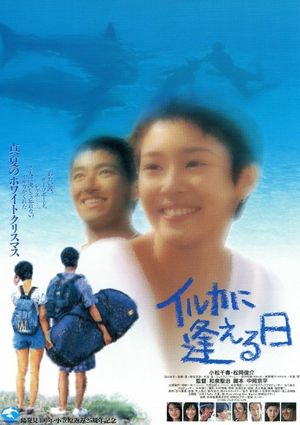 イルカに逢える日's poster