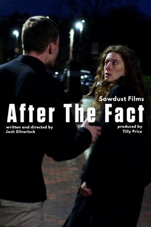 After the Fact's poster
