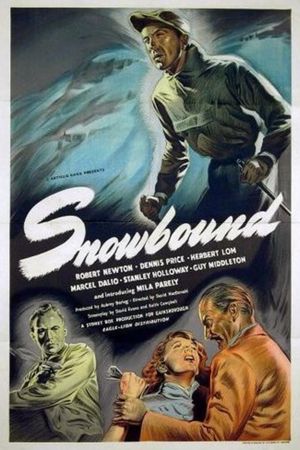 Snowbound's poster