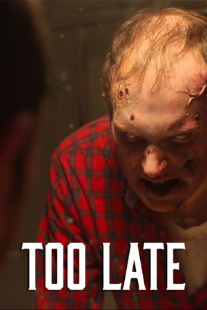 Too Late's poster