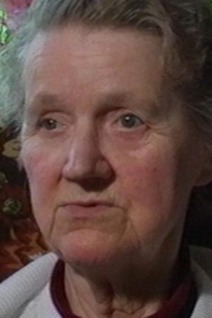 Stolen Lives's poster image