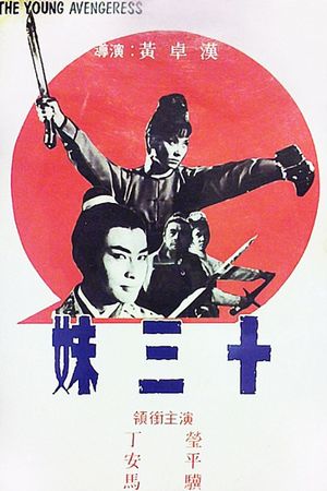 Shi san mei's poster