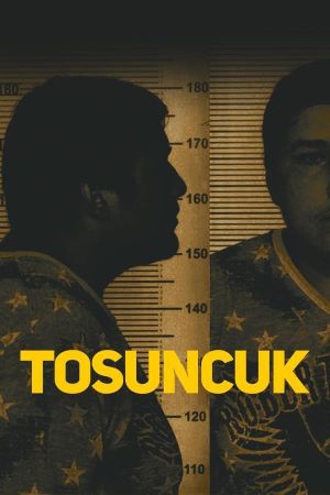 Tosuncuk's poster