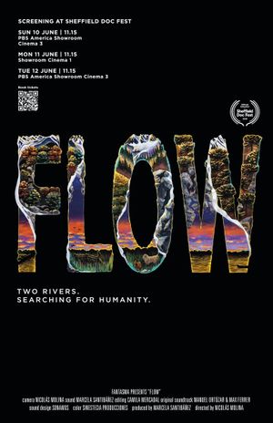 Flow's poster