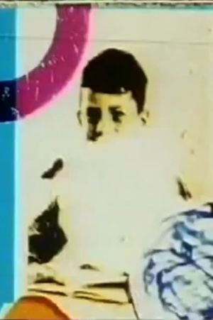 223's poster