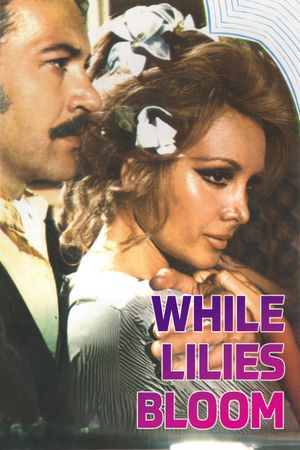 Zambaklar Acarken's poster