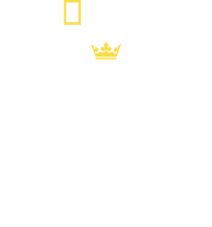 The King Who Fooled Hitler's poster