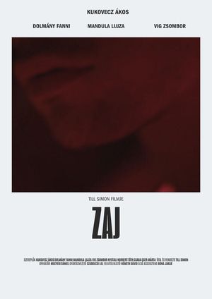 Zaj's poster
