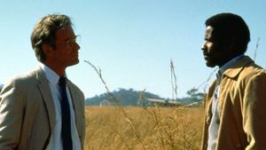 Cry Freedom's poster