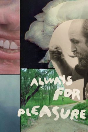 Always for Pleasure's poster