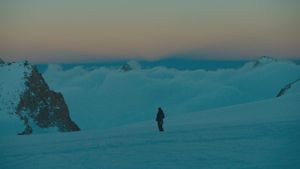 The Mountain's poster