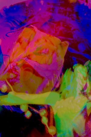 Hannah's Psycho-delic Adventure's poster