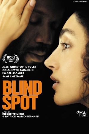 Blind Spot's poster