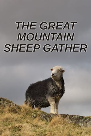 The Great Mountain Sheep Gather's poster