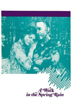 A Walk in the Spring Rain's poster