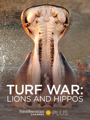 Turf War: Lions and Hippos's poster