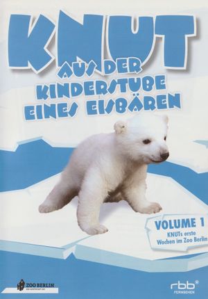 Knut - Aus der Kinderstube eines Eisbären's poster