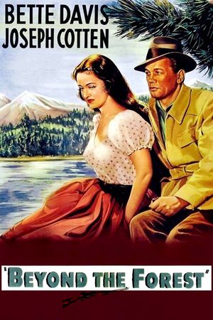 Beyond the Forest's poster