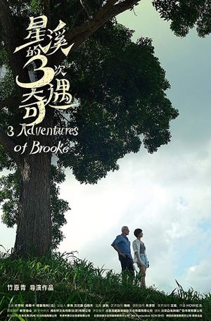 Three Adventures of Brooke's poster