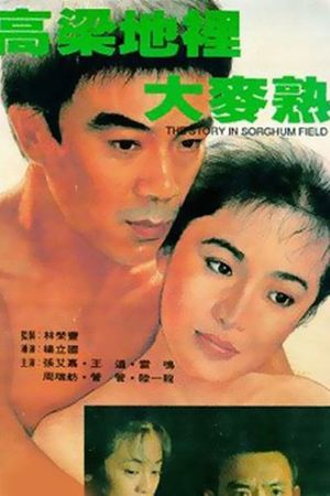 Gao liang di li da mai shou's poster