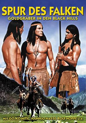 Trail of the Falcon's poster