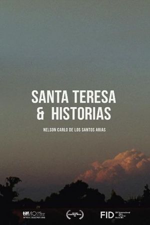 Santa Teresa y otras historias's poster