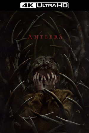 Antlers's poster