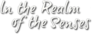 In the Realm of the Senses's poster