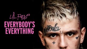 Everybody's Everything's poster