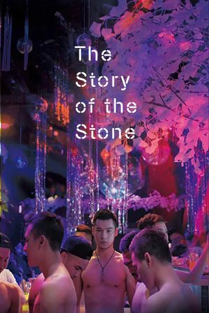 The Story of the Stone's poster