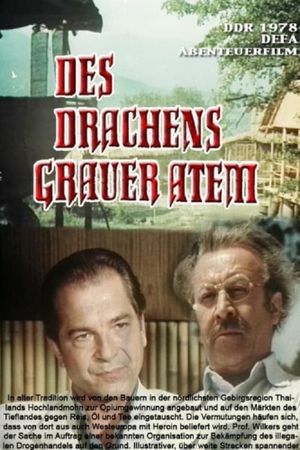 Des Drachens grauer Atem's poster