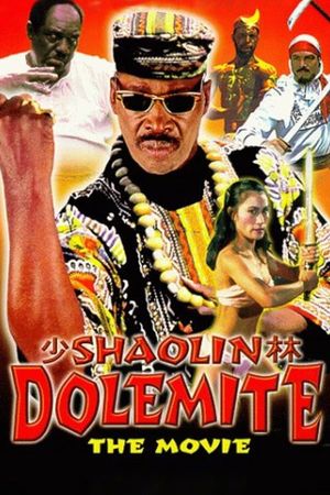 Shaolin Dolemite's poster