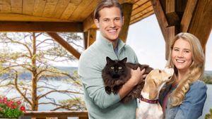 Like Cats & Dogs's poster