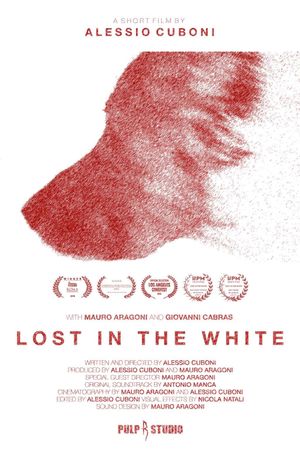 Lost in the White's poster