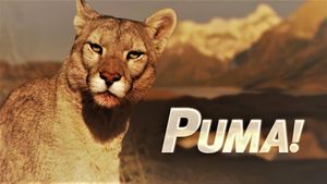 Puma!'s poster