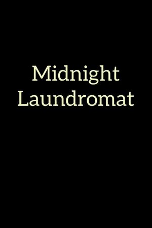 Midnight Laundromat's poster