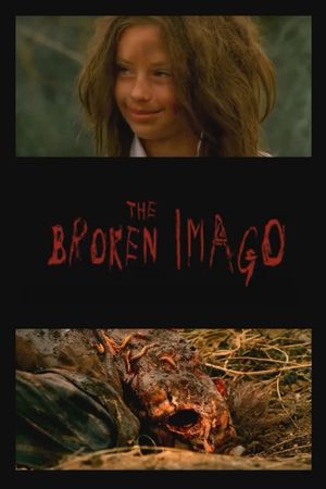The Broken Imago's poster