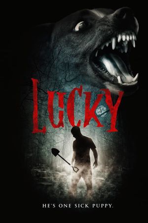 Lucky's poster