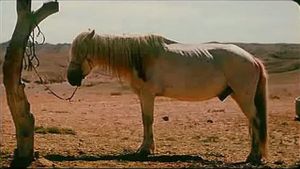 Season of the Horse's poster