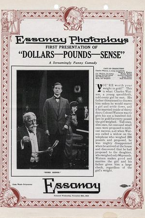 Dollars-Pounds-Sense's poster