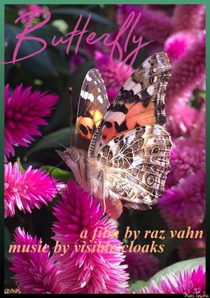 Butterfly's poster image