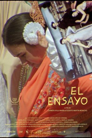The Essay's poster