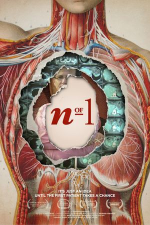 N of 1's poster
