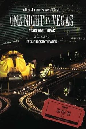 One Night in Vegas's poster