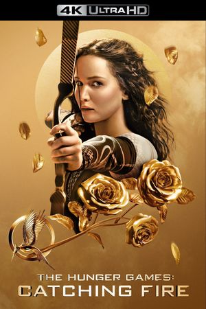 The Hunger Games: Catching Fire's poster