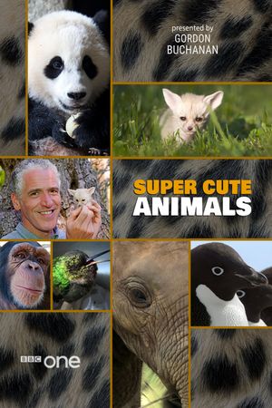 Super Cute Animals's poster