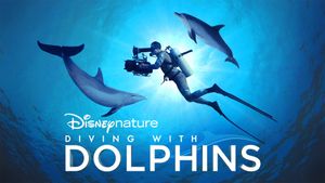 Diving with Dolphins's poster